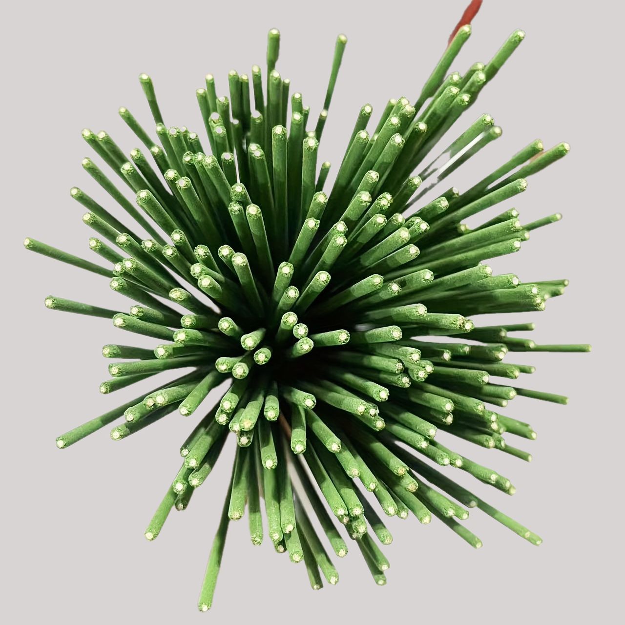Reed difusor varas capim-limão - Home Fragrance Reeds avaliação e preço