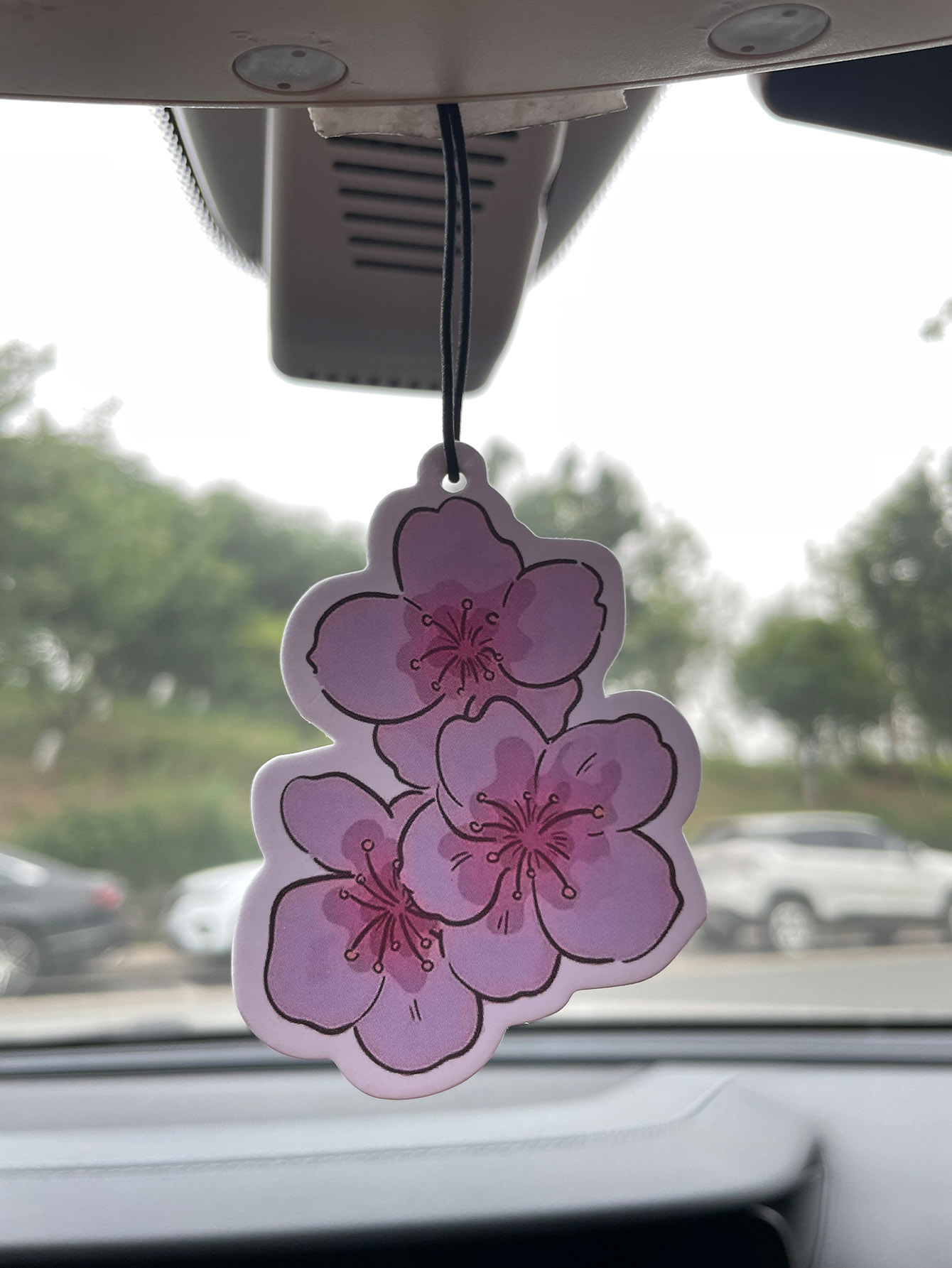 Perfume de Carro Neutro com Fr - Home Fragrance Non Toxic avaliação e preço